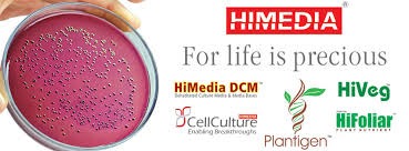 HiMedia Cultures & Media