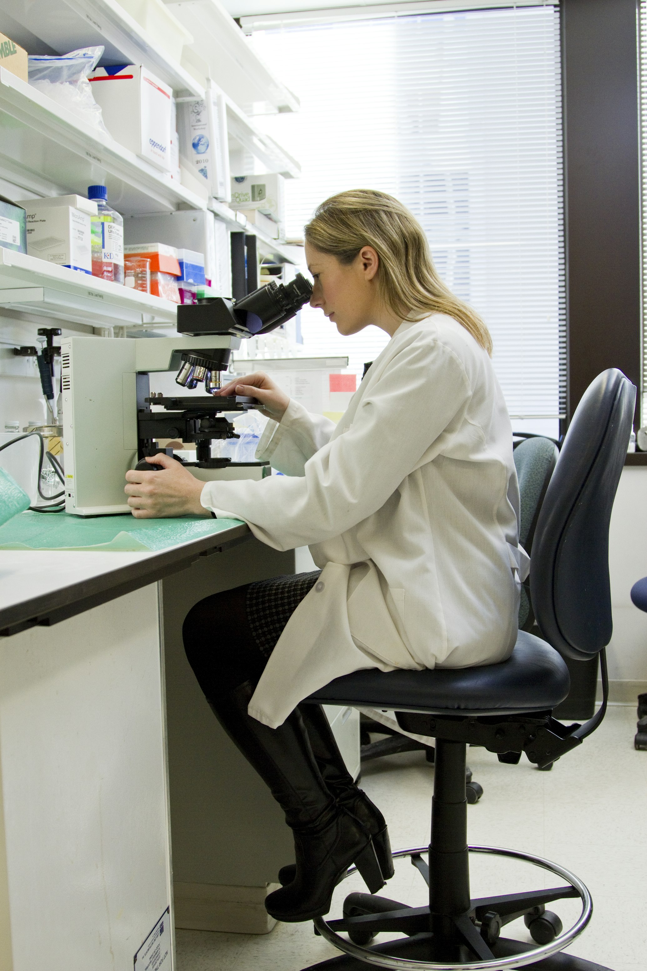 Modern Laboratory Setup